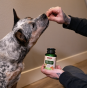 NOW Foods Pets, Allergiavastane kompleks loomadele 75 närimistabletti - 1